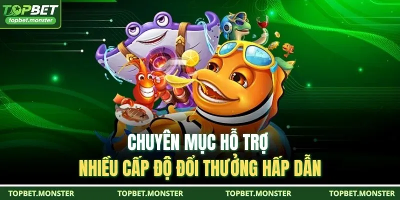 Chuyên mục hỗ trợ nhiều cấp độ đổi thưởng hấp dẫn